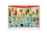 Póster Clothes/Family Tree