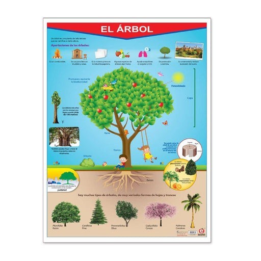 Póster El Árbol