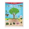 Póster El Árbol