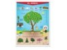 Póster El Árbol