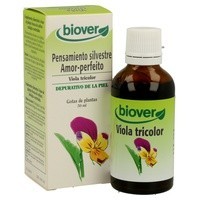 Pensamiento Silvestre (Viola Tricolor)