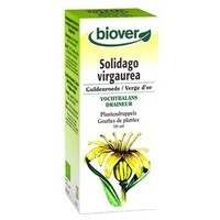 Solidago Virga Aurea (Vara de Oro) Tm