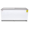 CONGELADOR HORIZONTAL TAPA DE CRISTAL CURVO 20