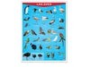 Póster Las Aves