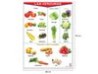 Póster Las Verduras