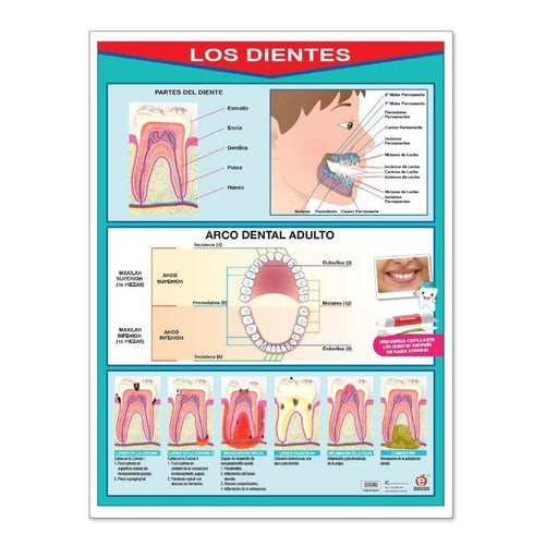Póster los Dientes