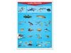 Póster Los Peces