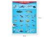 Póster Los Peces