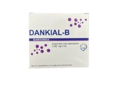 Dankial B