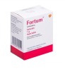 FORTUM 1 G INY FA 3211