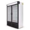 REFRIGERADOR VERTICAL EXHIBIDOR 2 PUERTAS 36 PIES R36L