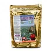 LINAZAFORTE ®