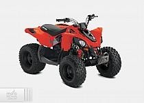 Can-Am DS 90 2021
