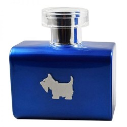 Perfume Ferrioni Terrier Blue para hombre