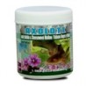 AXOLOTL ®