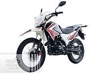 Dinamo Scorpion 200