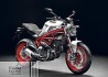 Ducati Monster 797 2017-2021