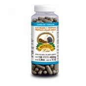 BRONQUITEC ®