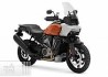 Harley-Davidson Pan America 1250/Special 2021