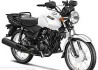 Hero Eco 150 Cargo