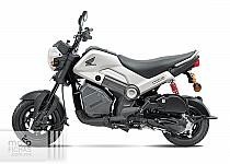 Honda Navi110 2023