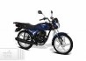 Italika FT125 TS