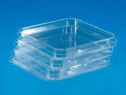 Caja petri cuadrada esteril 12*12cm