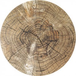 Manteles individuales Roble