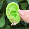 Aretes Bicho Chapa de Oro AZ30
