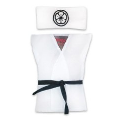COBRA KAI CON KARATEGUI MIYAGI-DO 1
