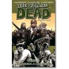 THE WALKING DEAD 19