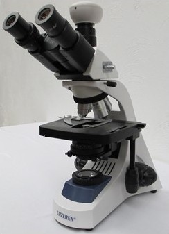 Microscopio Digital LED