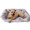 Cama para mascota pink