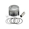 Piston con Anillos Axis90 Xenon Triton Zip 51.75
