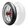 Llanta para Motocicleta 120/70-17 3D Storm XM F Avon