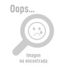 Alarma para motocicleta WORKMAN 150 AXUS 150 RYDER 150 LITHIUM 150 VENTO