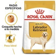 Royal Canin Perro Adulto Labrador Retriever 13.6kg