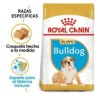Royal Canin Alimento para Cachorro Bulldog 13.6kg