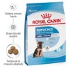 Royal Canin Puppy Large 13.6kg