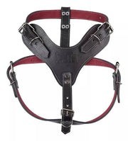 Pechera para chihuahua de Piel Color Negra Xtreme Talla 0, Fancy Pets