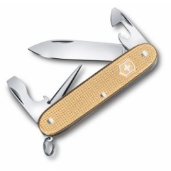 Pioneer Alox Limited Edition 2019 | 0.8201.L19 .