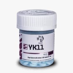 YK 11