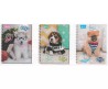 CUADERNO NORMA PROF. DOGS RAYA C/100H