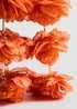 Pendientes colgantes flores