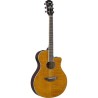 Guitarra Electro-acústica APX Ambar Maple Flameado