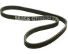BANDA (021145933H) BANDA DIRECCION HIDRAULICA A3-A4 / MOTOR 6 CILINDROS 7DPK1360-K070535