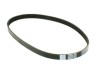 BANDA (038109119P) BANDA DENTADA DE TIEMPO DISTRIBUCION EUROVAN T5 – JETTA / DIESEL 1.9LITROS – 120RU30