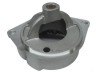 CAMPANA (620) CAMPANA FORD AUTOLITE STD. WAI 51-217 LESTER 3132