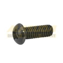 [E10060062] TORNILLO DRENADO CUBIERTA CARTER DER, VITALIA150