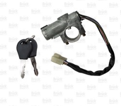 CARCAZA (4870075Y00) CARCAZA PORTA SWITCH TSURU III B13 CON PASTILLA DE ARRANQUE-2 LLAVES